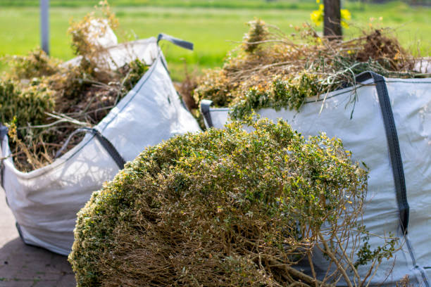 Best Recycling Services for Junk  in Enigma, GA